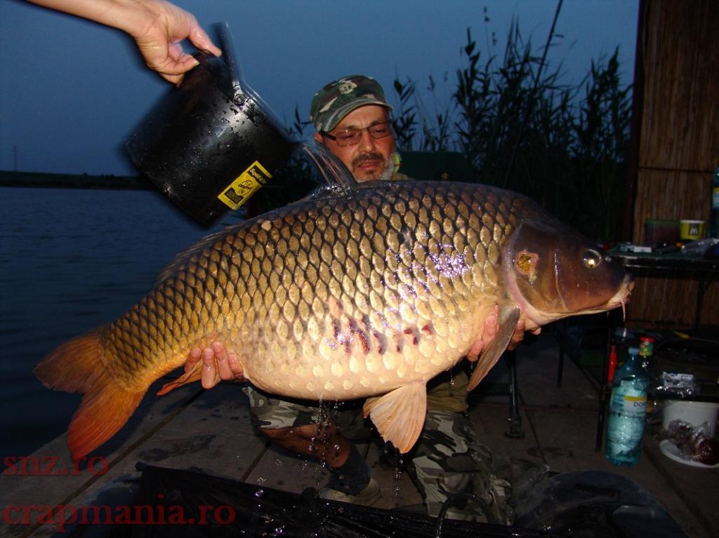 altele - dsc007621.jpg